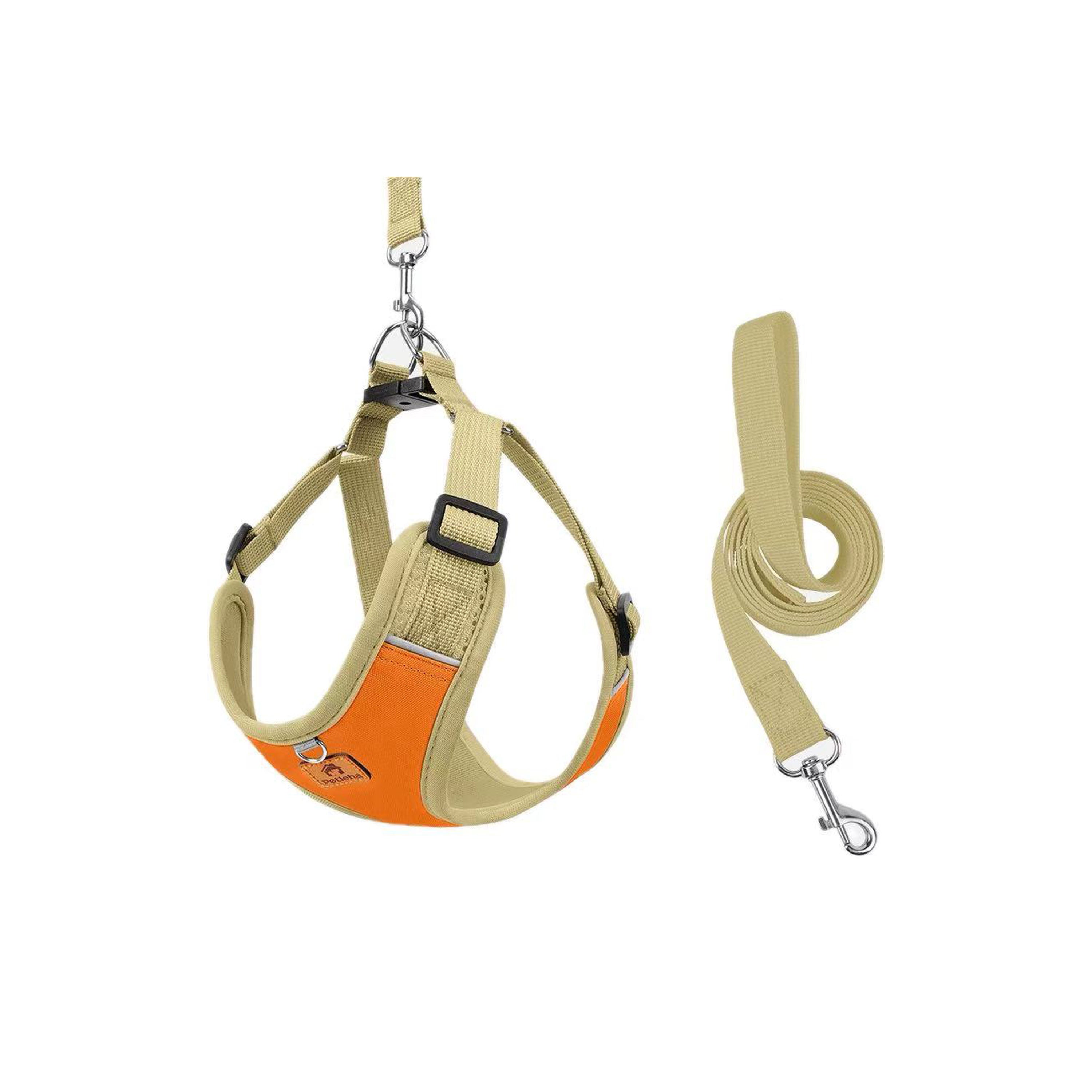 Small Dog Harness And Leash Set