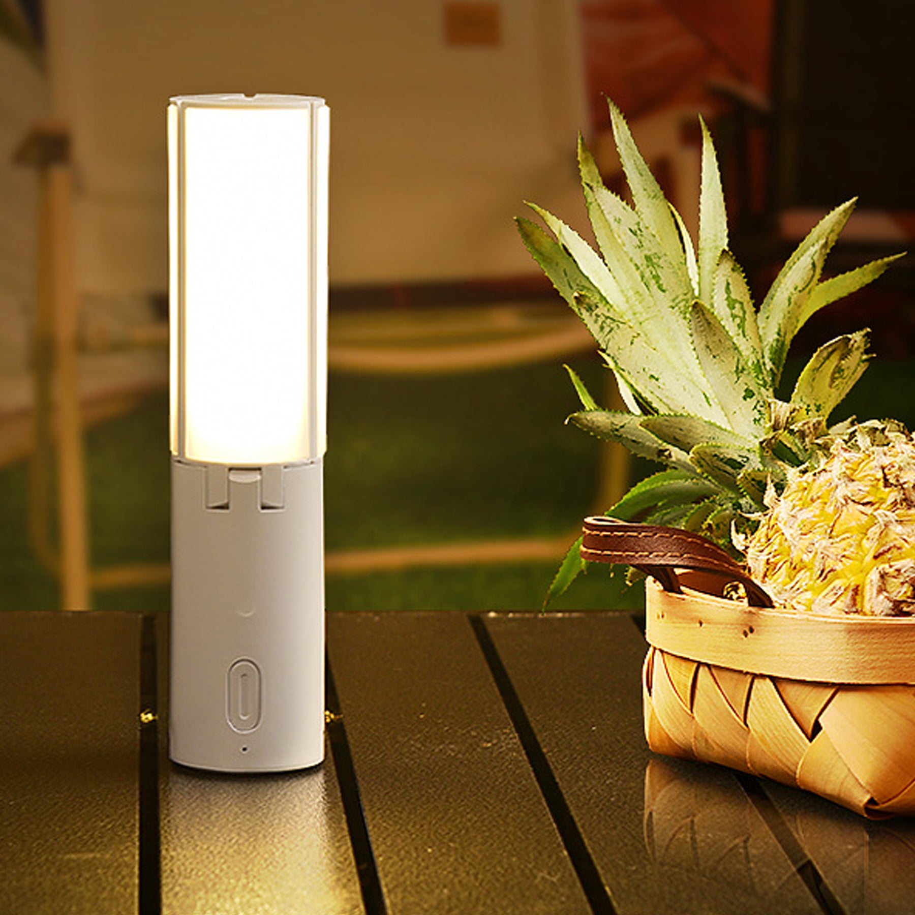 Outdoor Multifunctional Folding Camping Light