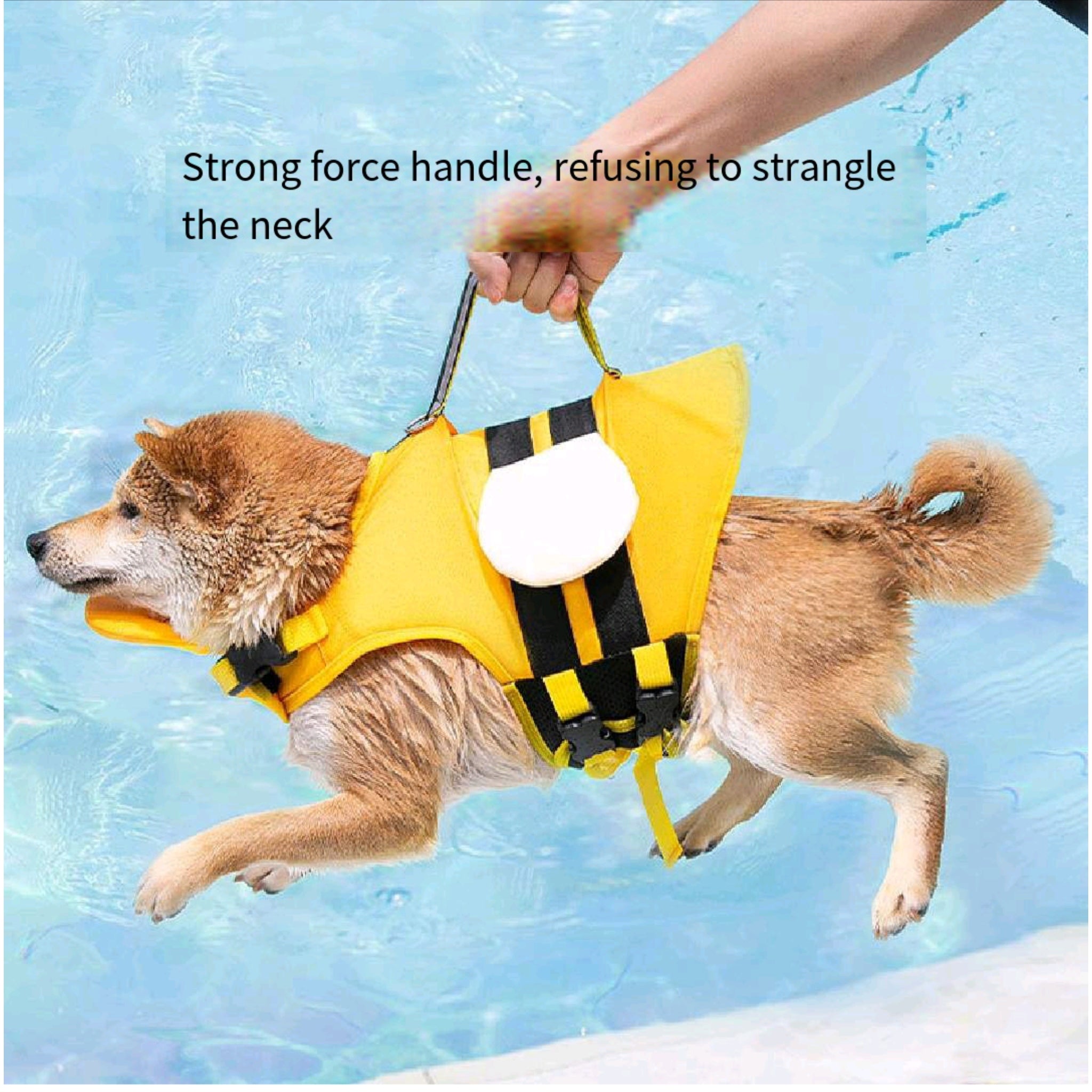 Small Breed Dog Life Jacket For Summer Pool Days