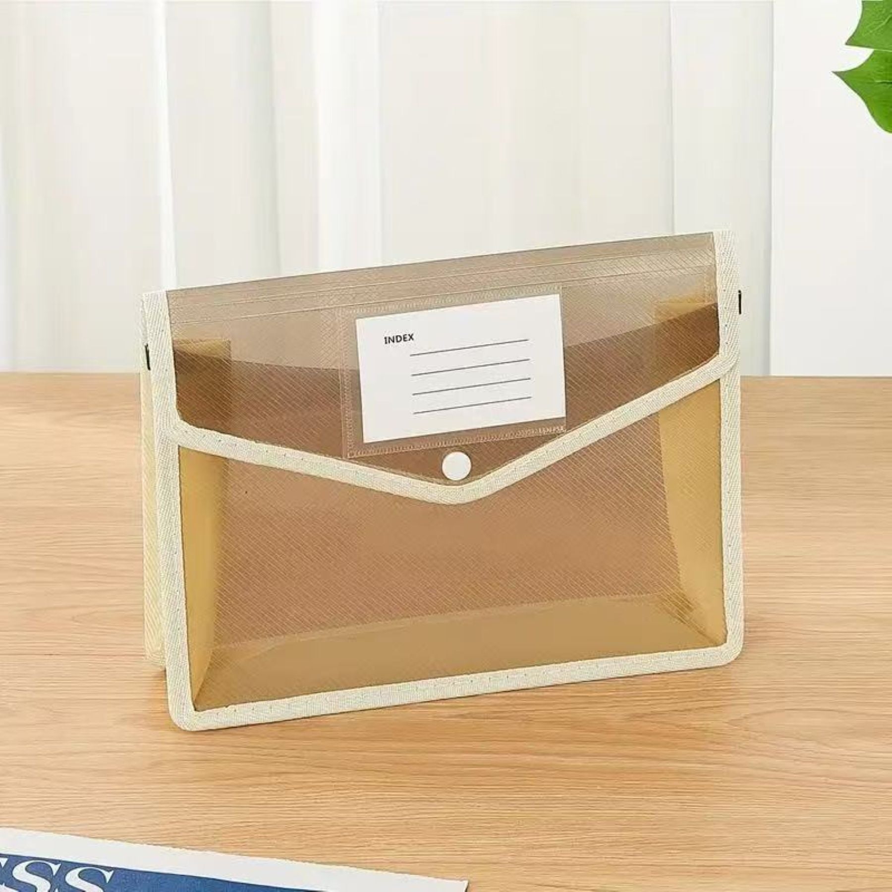 Transparent File Folder