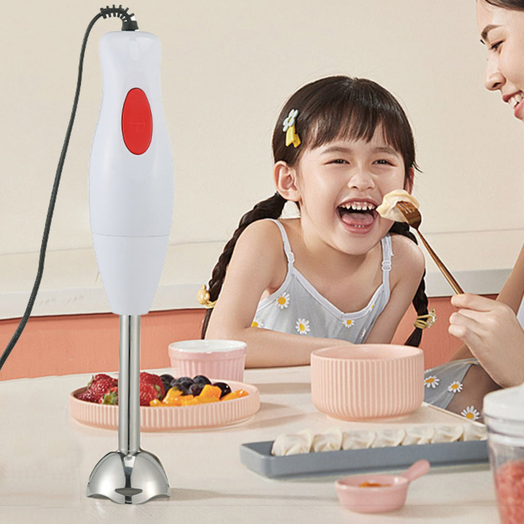 Immersion Blender