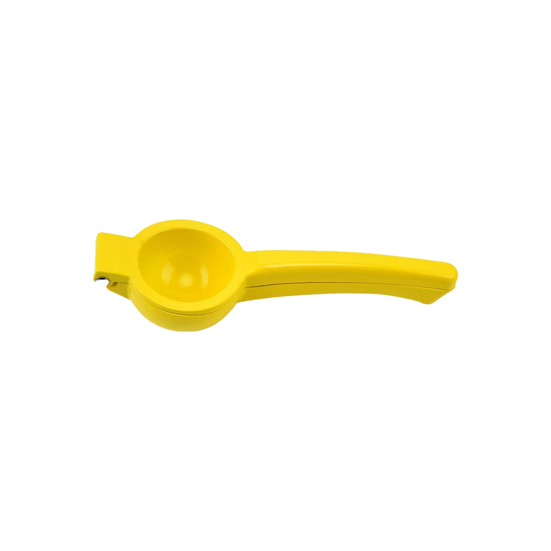 Fruit Juicer