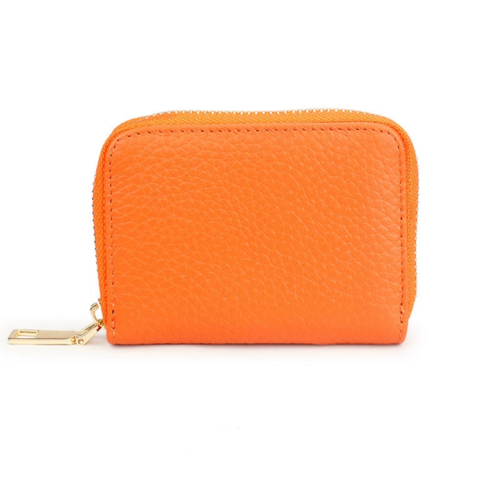 Zipper Accordion Card Holder