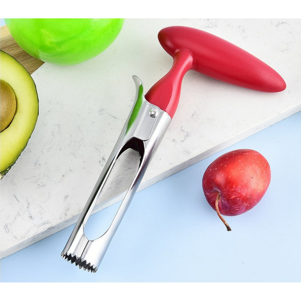 Stainless Steel Fruit Pitter