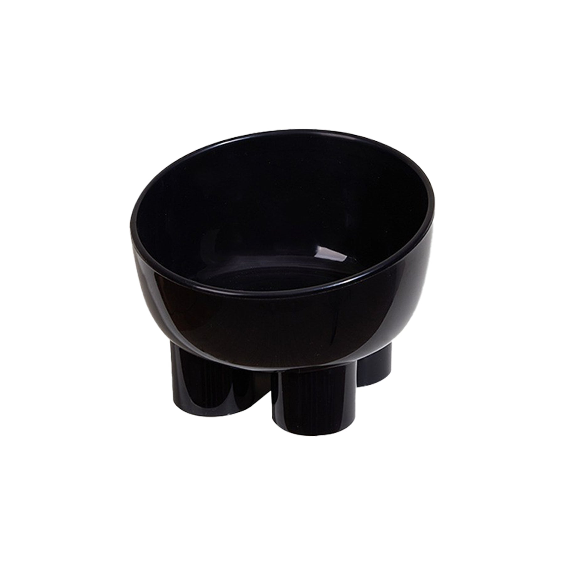 Elevated Cat Bowl With 15-Degree Tilt