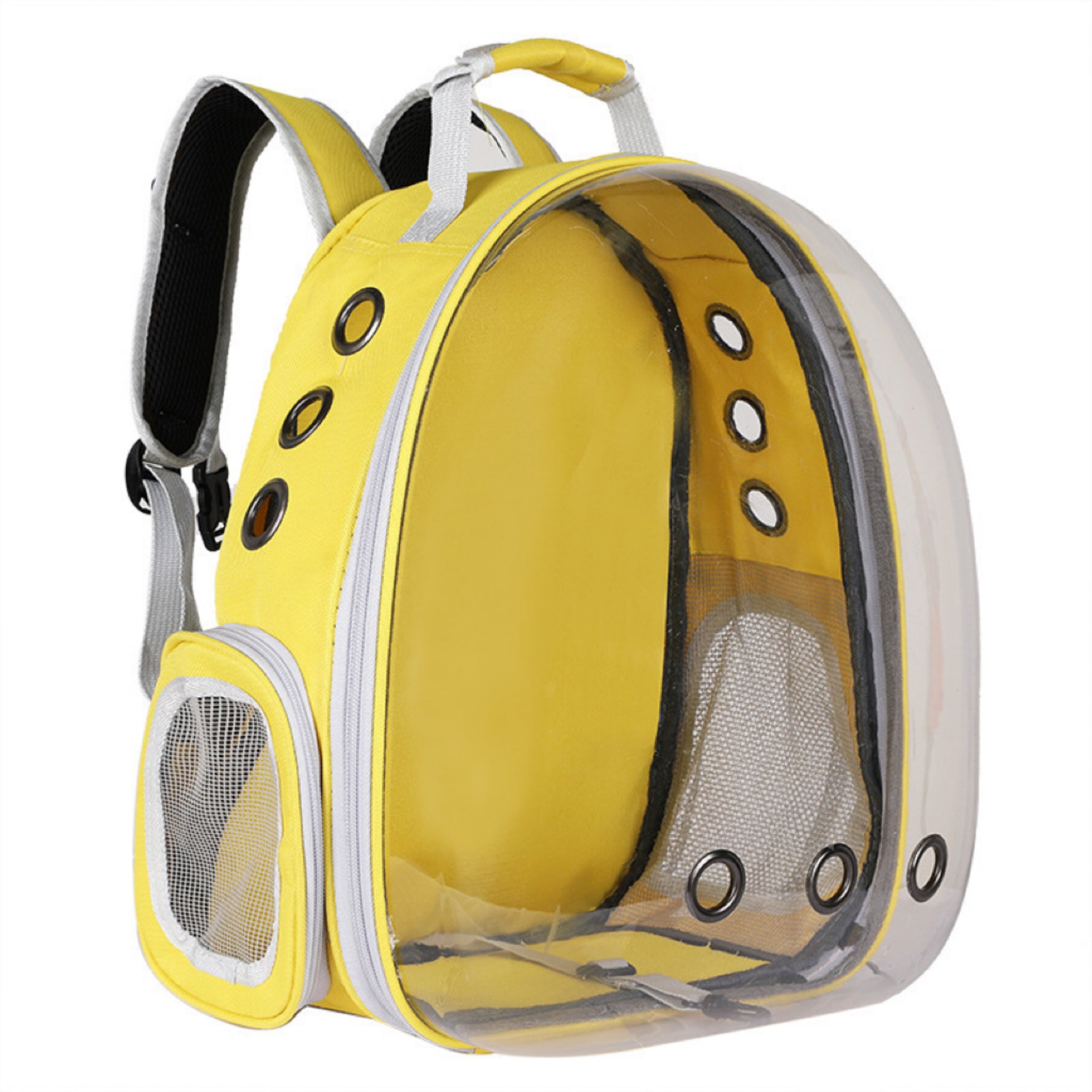 Transparent Pet Carrier Bag