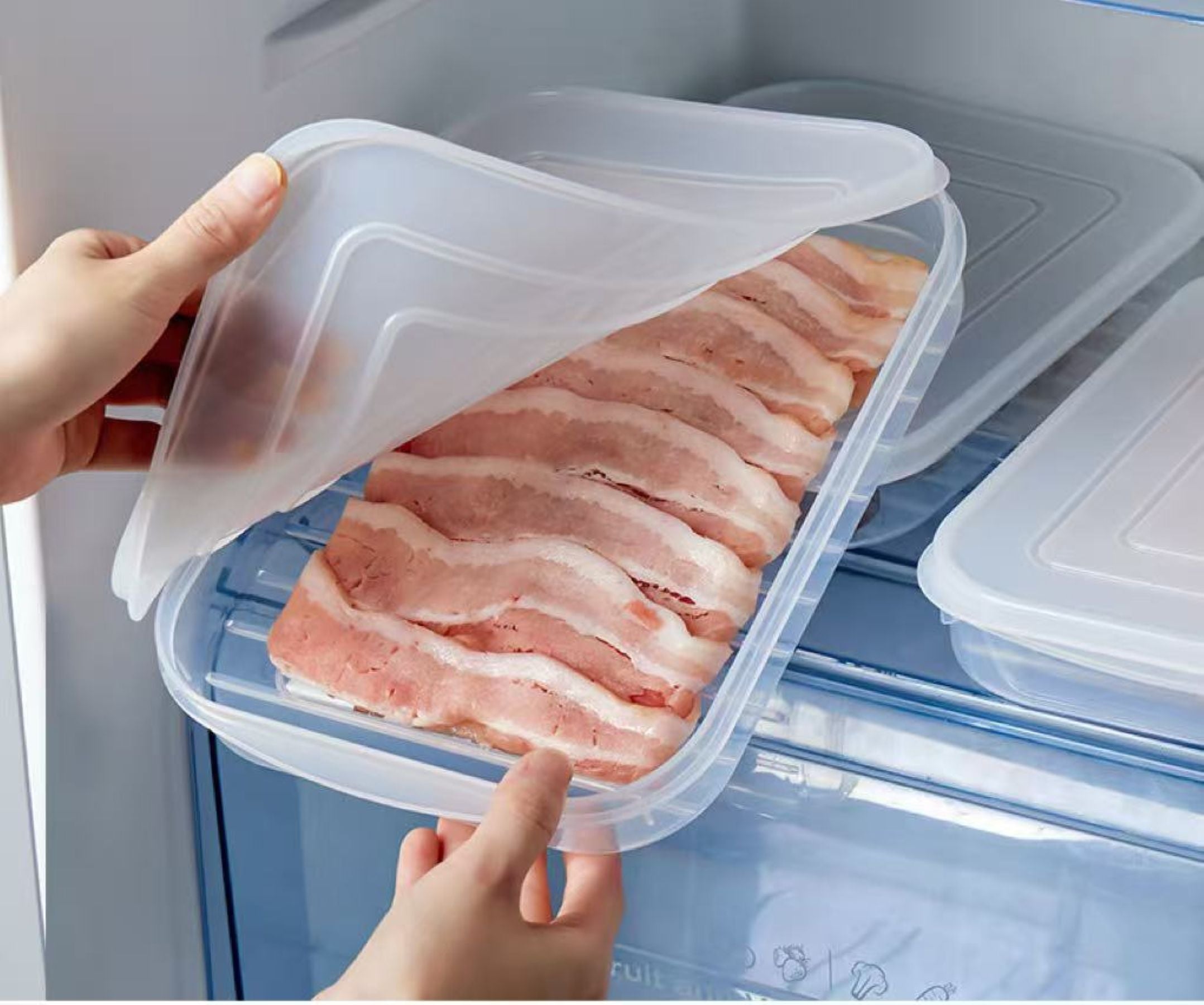 Transparent Preservation Box