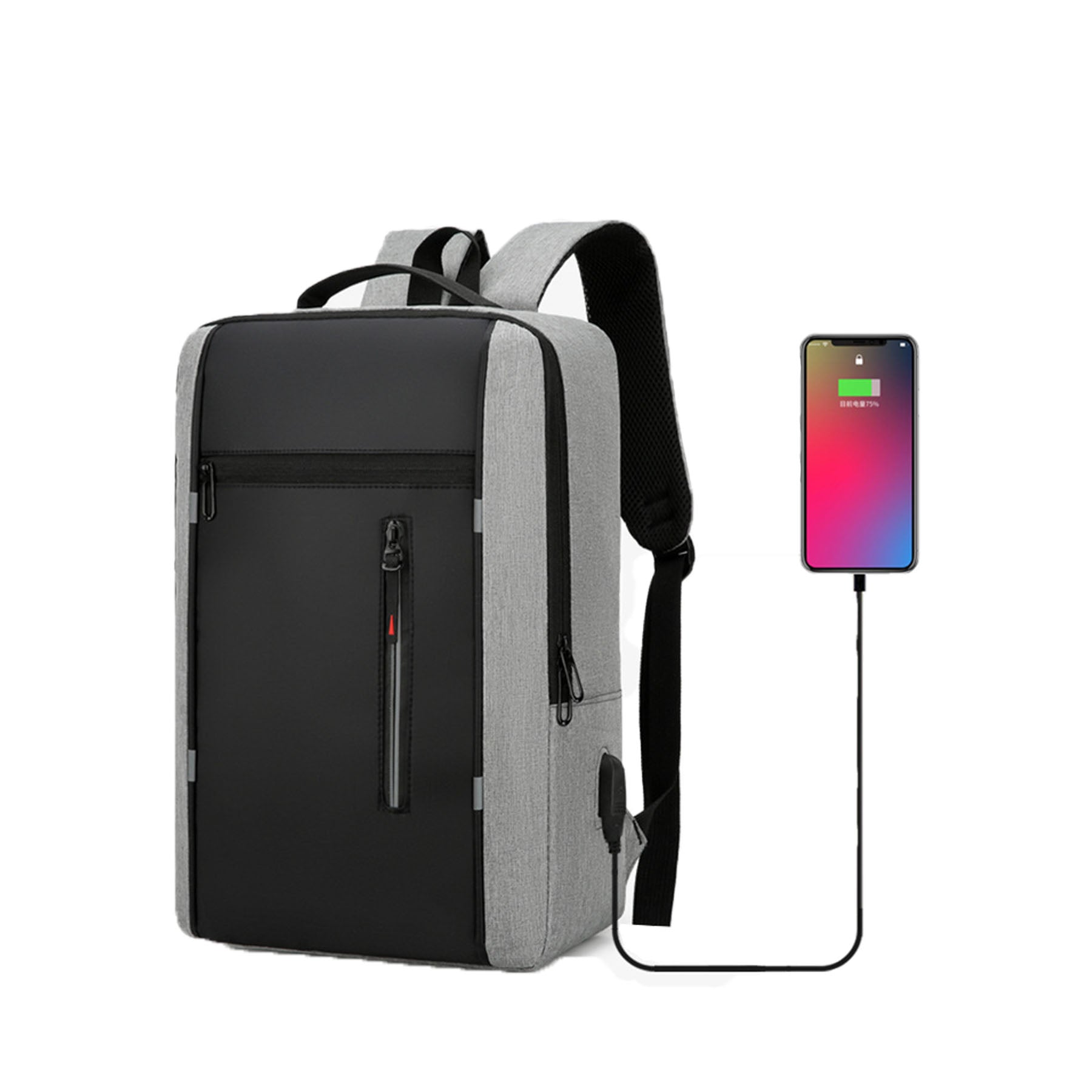 Travel Laptop Backpack Carrying Case With Charging Port
