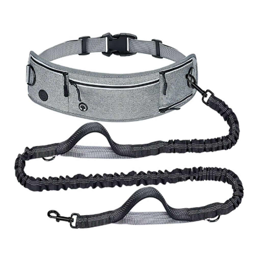 Nylon Anti Pull Dog Leash with Reflective Waist Bag