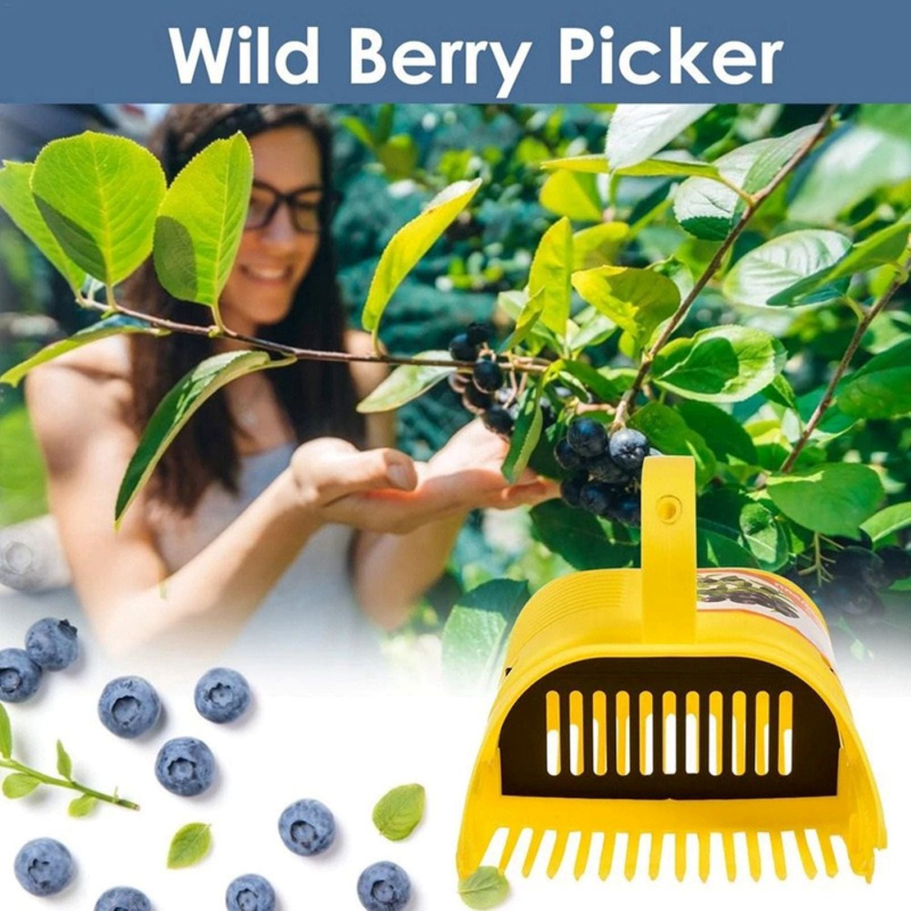 Blueberry Picking Tool