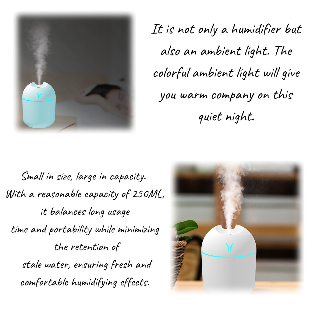Mini Portable Humidifier