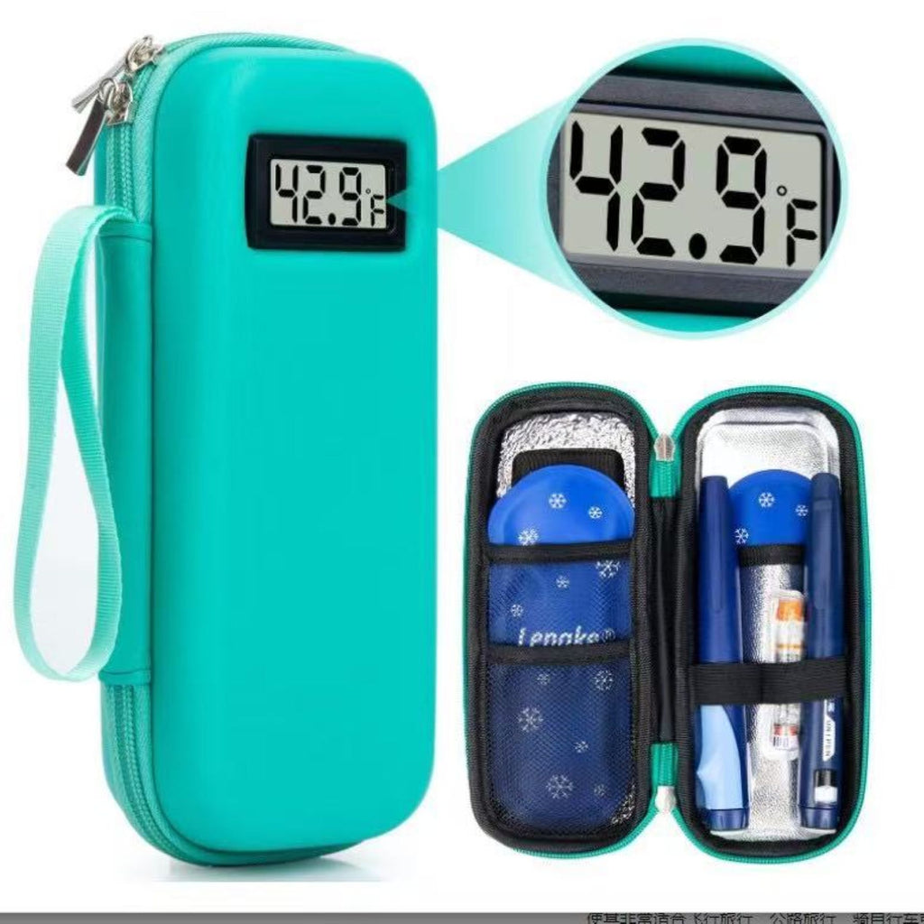 Portable Cold Storage Bag (With Temperature Display)
