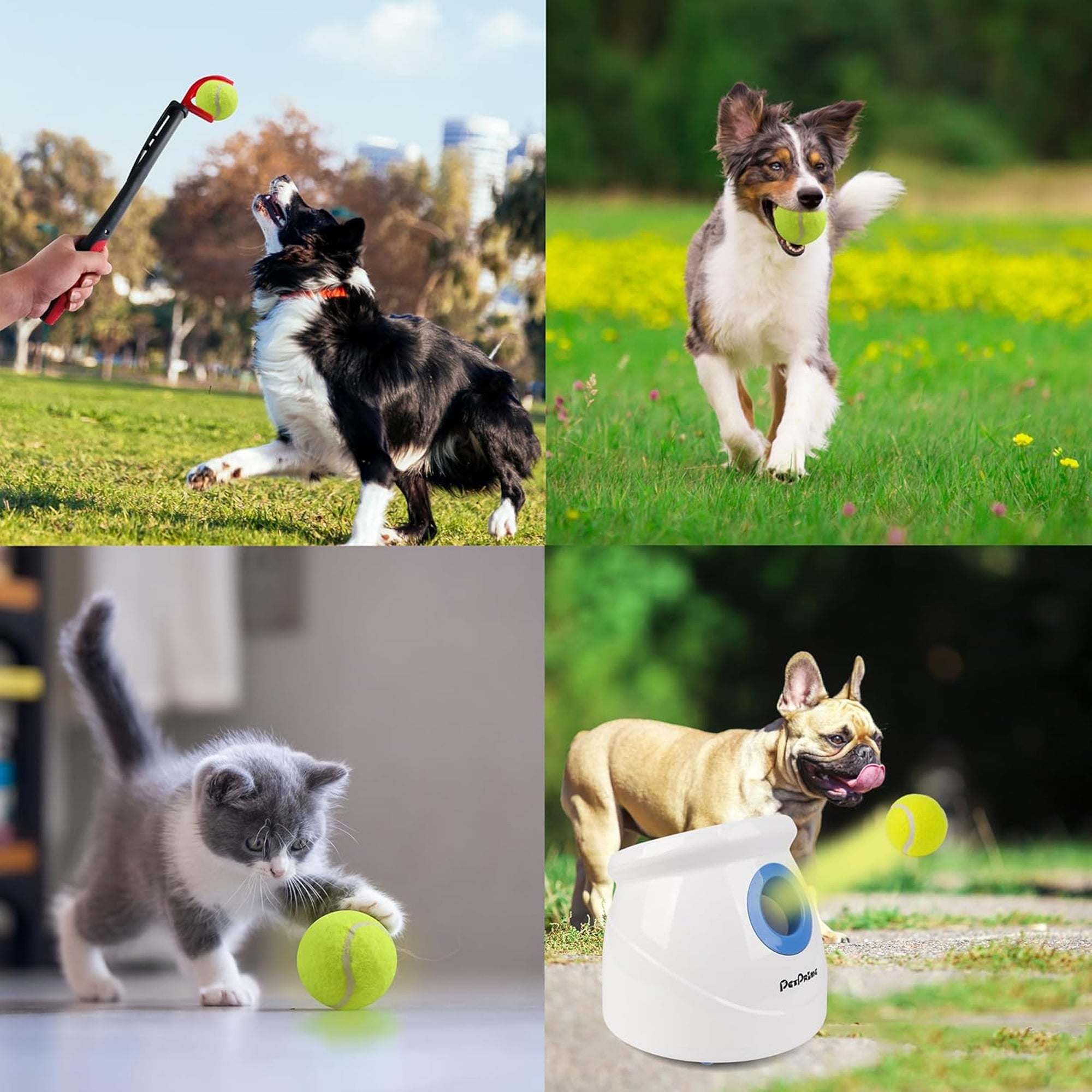Championship Tennis Balls