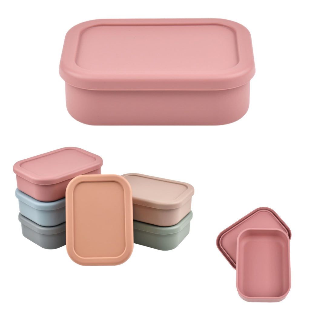 Silicone Sealed Food Storage Container