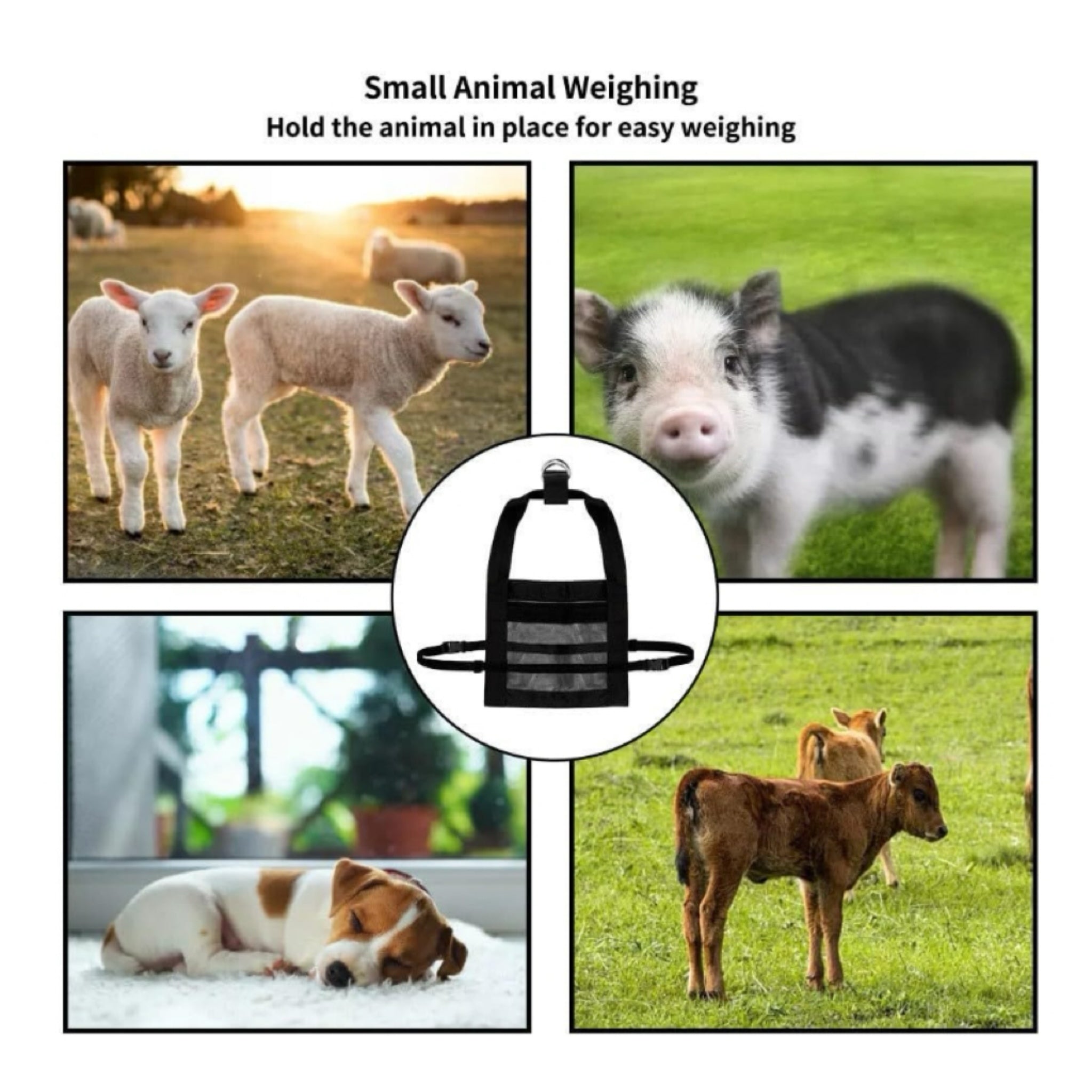Small Animal Weighing Bag