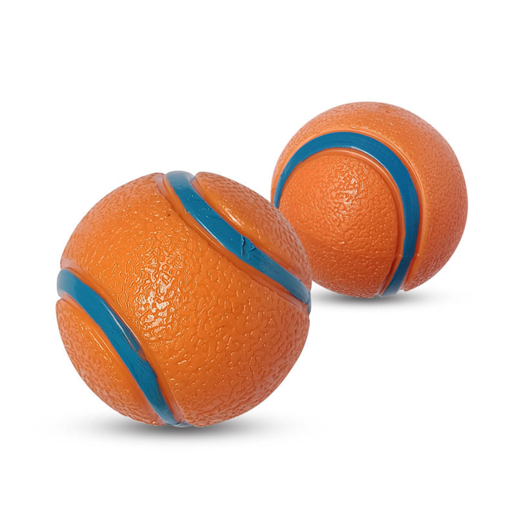 Bouncy Fetch Ball For Dogs