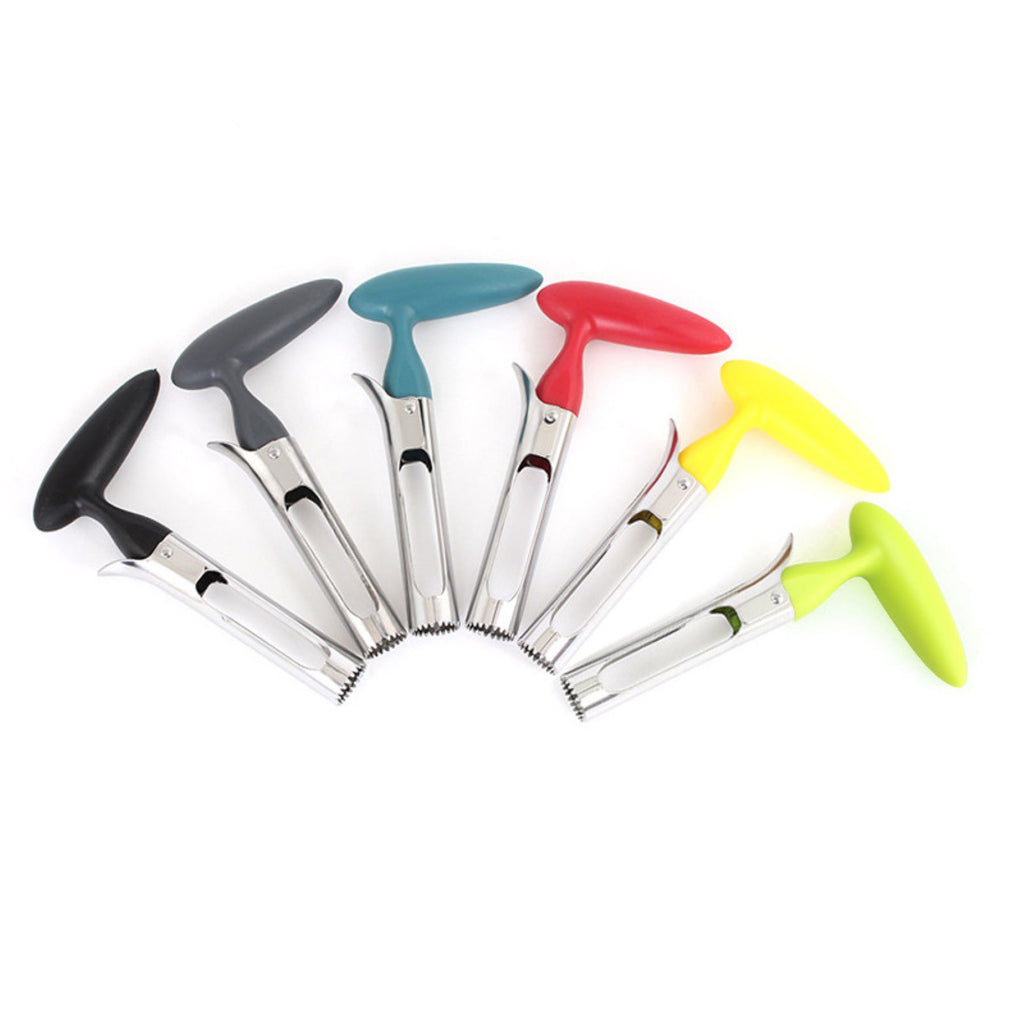 Stainless Steel Fruit Pitter