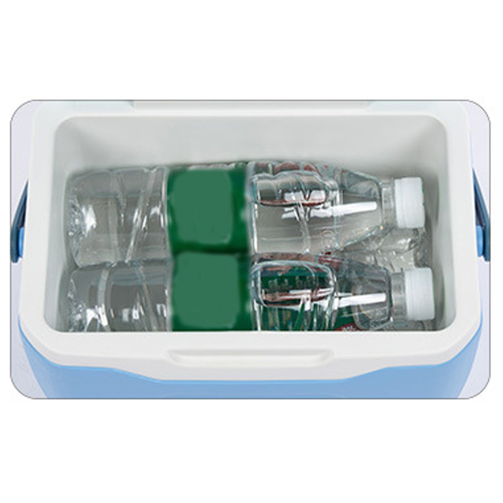 5.5L Mini Portable Cooler With Handle