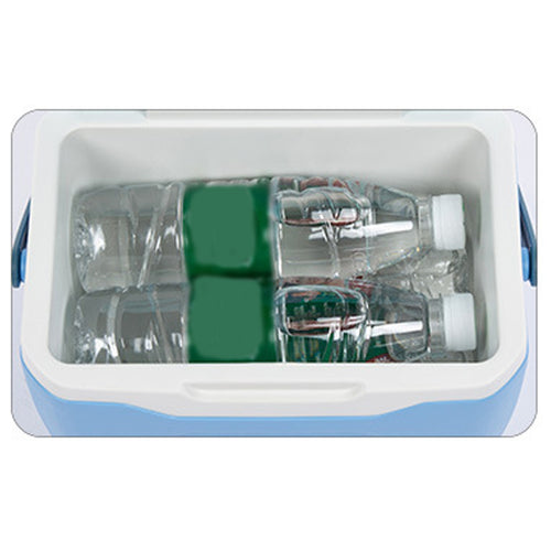 5.5L Mini Portable Cooler With Handle
