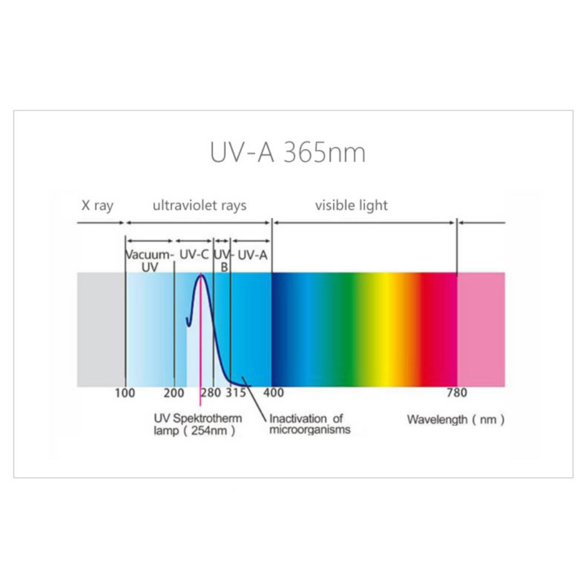 UV365 Ultraviolet Light Flashlight
