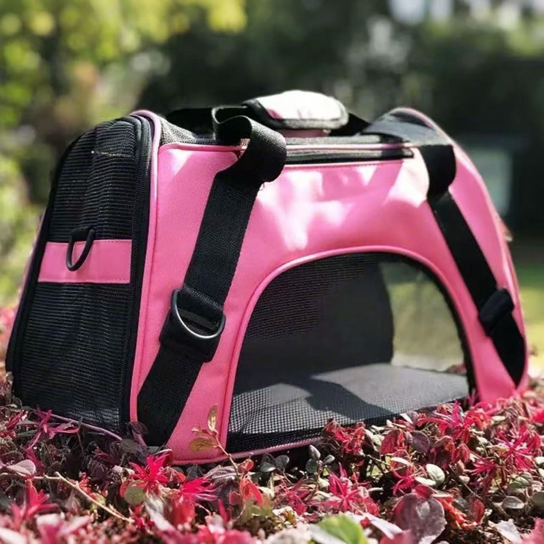 Outdoor Pet Bag