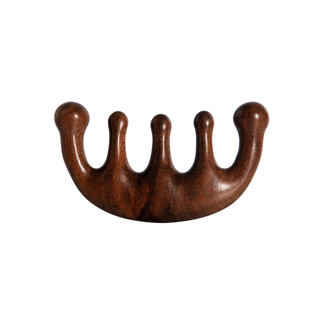 2 Pack Wooden Finger Massage Comb