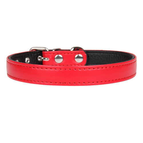 Adjustable Pets Collar
