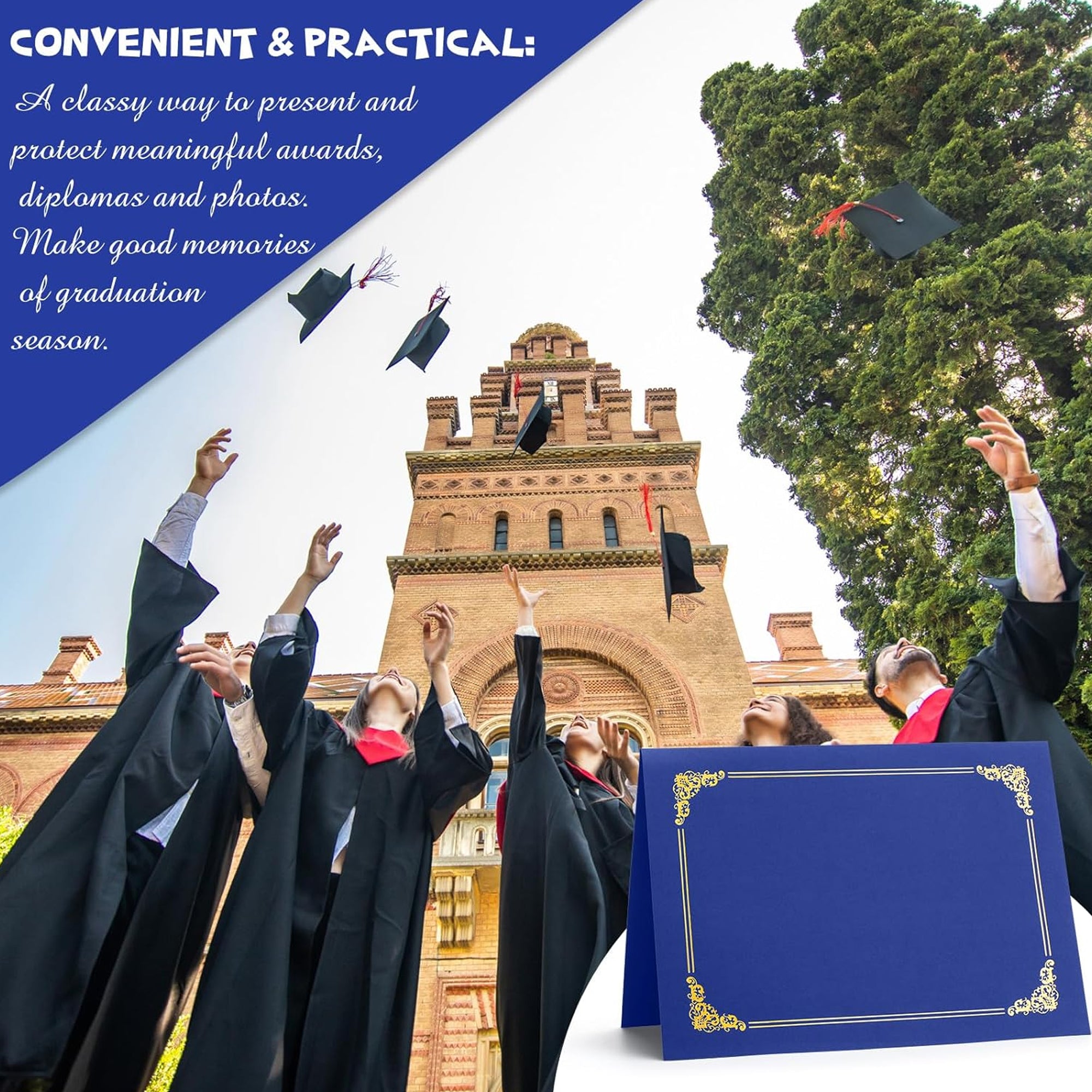 Packs Certificate Holders