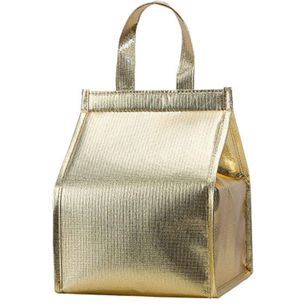 Insulated Food Delivery Bag