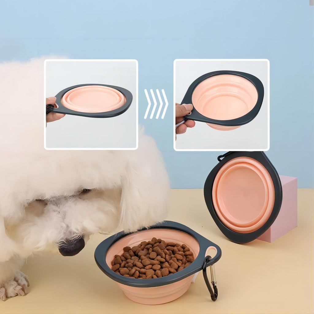 Collapsible Pet Feeding Bowl