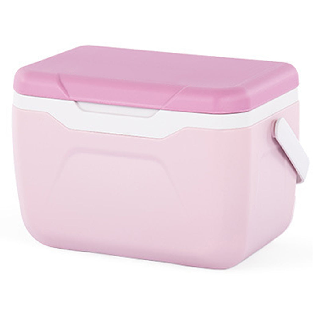 5.5L Mini Portable Cooler With Handle