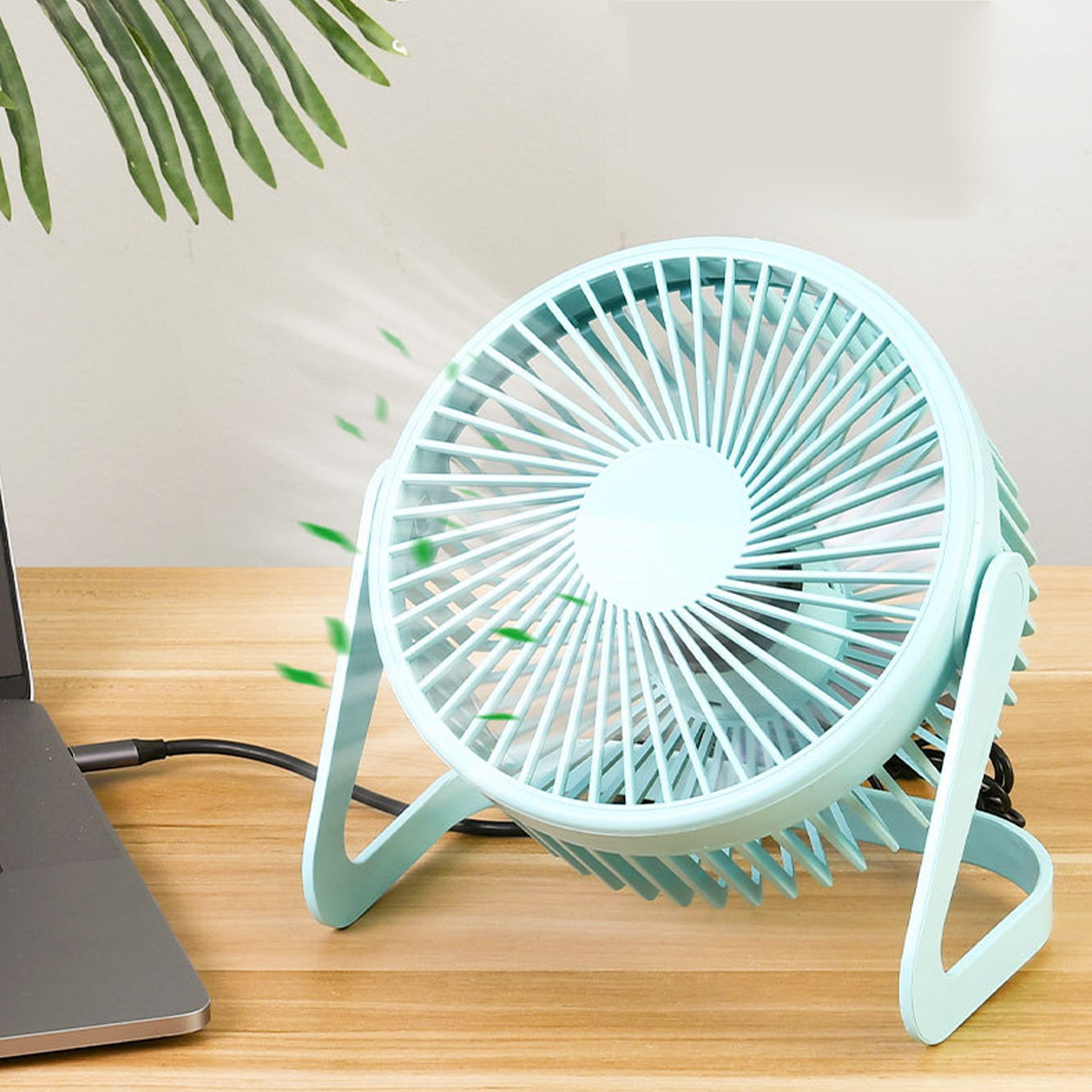 6-inch Quiet 2 Speeds Wind USB Desk Small Fan