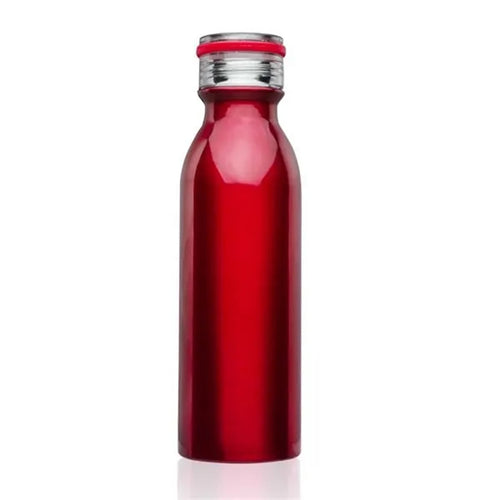 20 Oz. Stainless Steel Sports Bottle