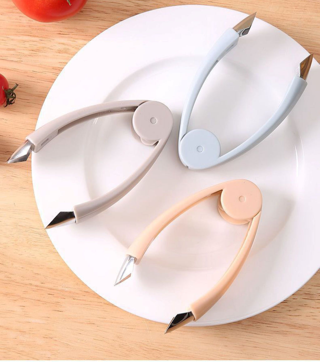 Fruit Lifting Tool