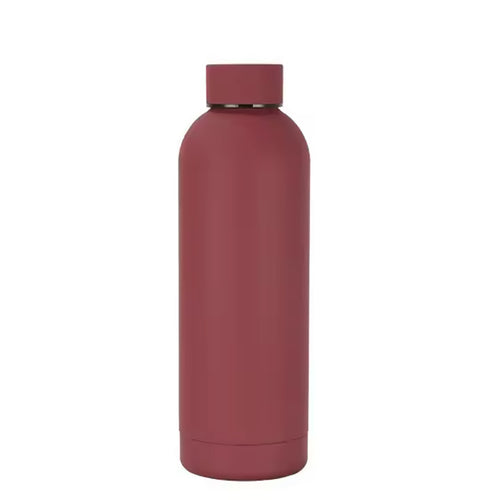 17Oz Frosted Insulated Stainless Steel Water Bottle