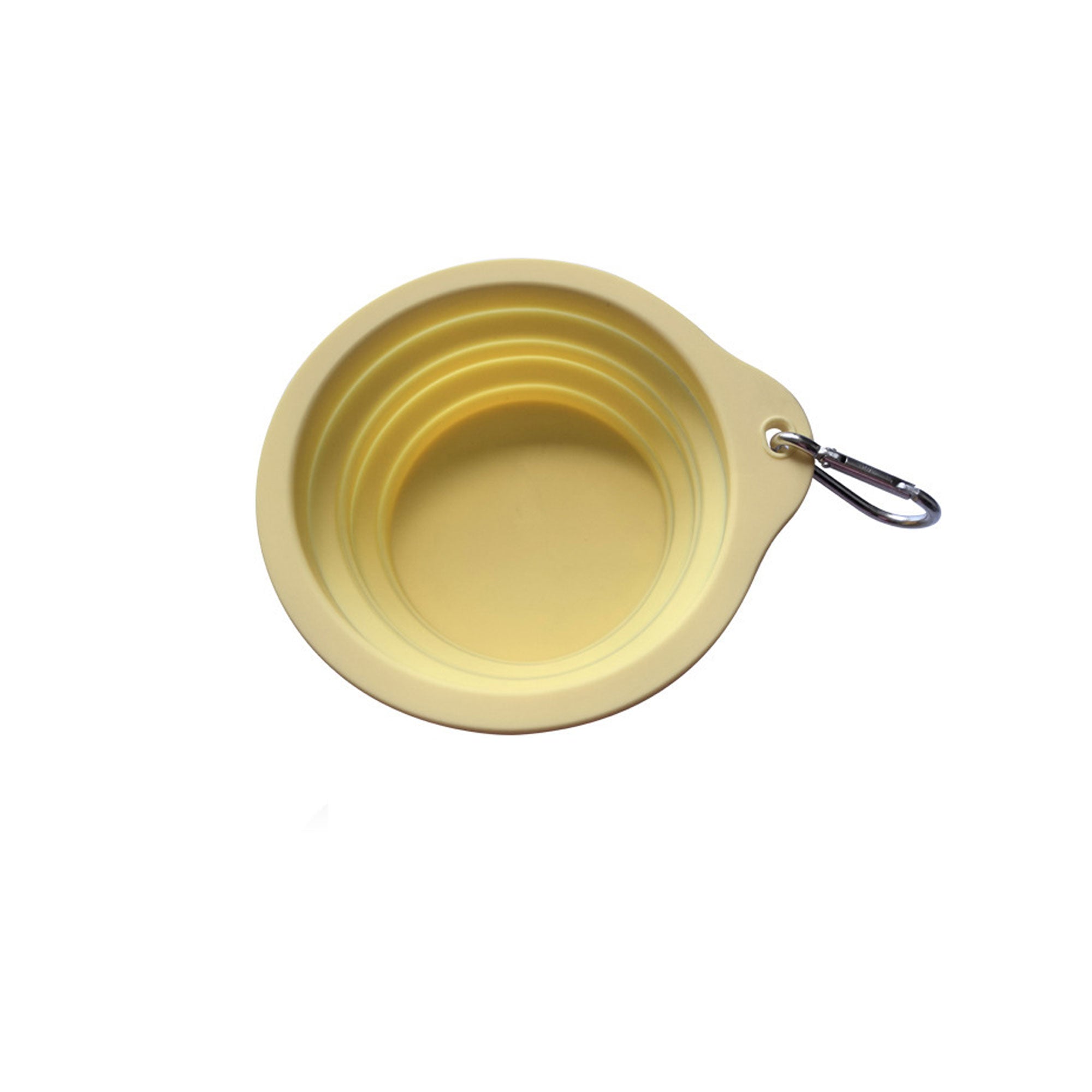 Collapsible Dog Bowl