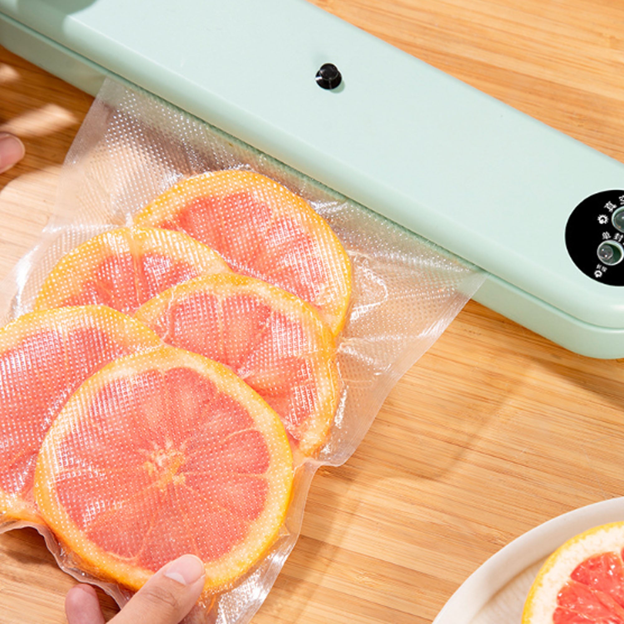 Food Vacuum Sealer With 10 Vacuum Bags