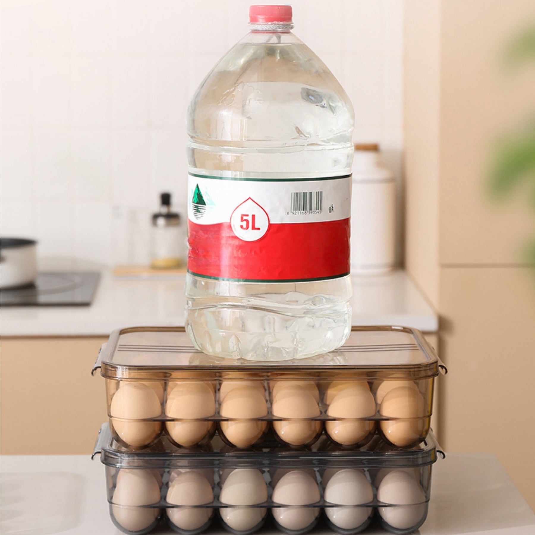 Food-Grade PET Refrigerator Fresh-Keeping Egg Storage Box