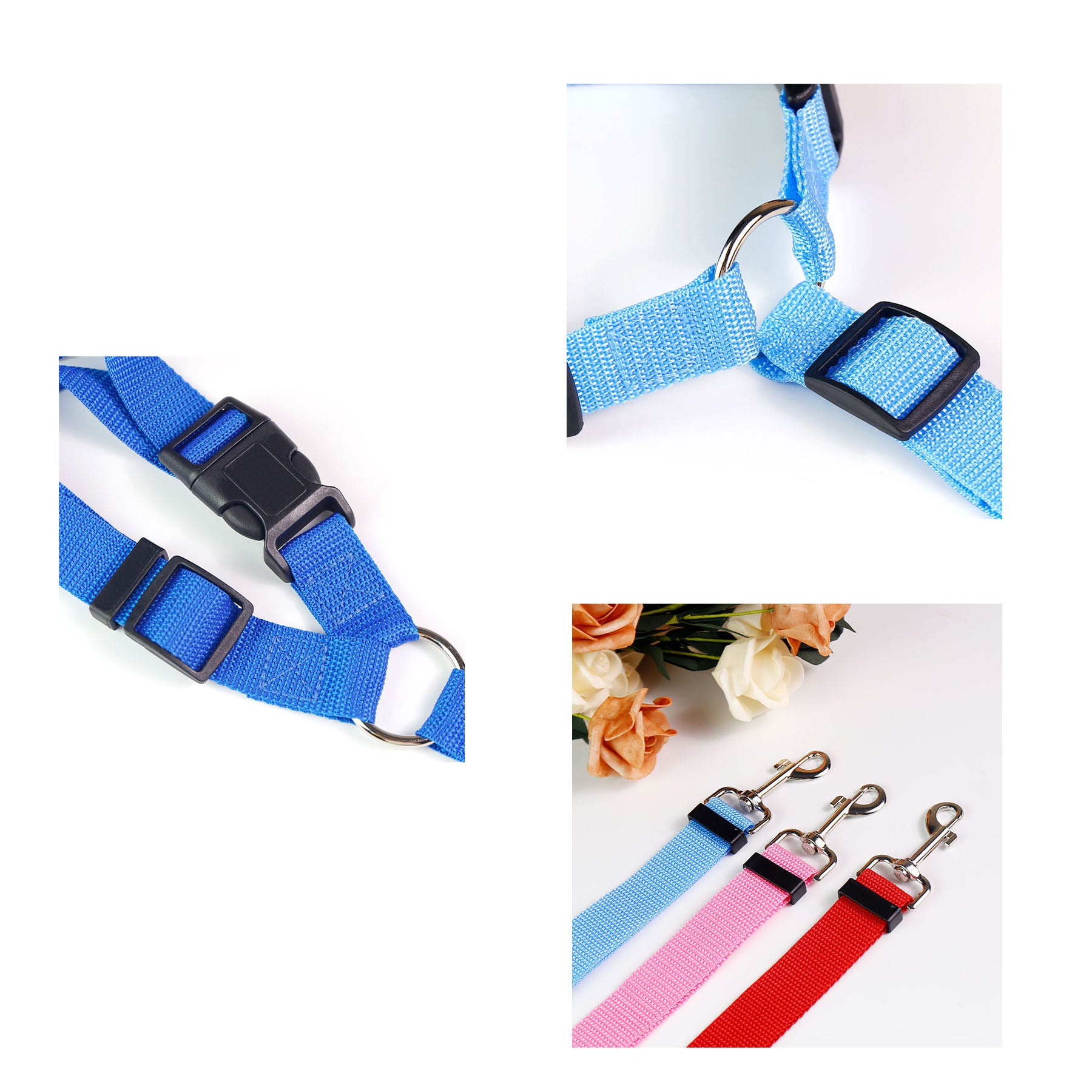 Nylon Dog Leash with Ring