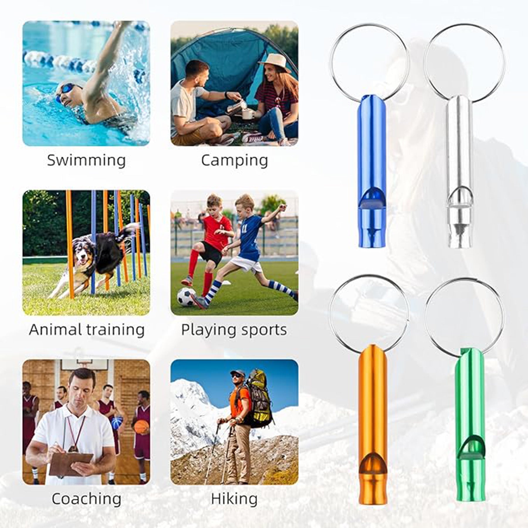 Bird Training Alloy Whistles