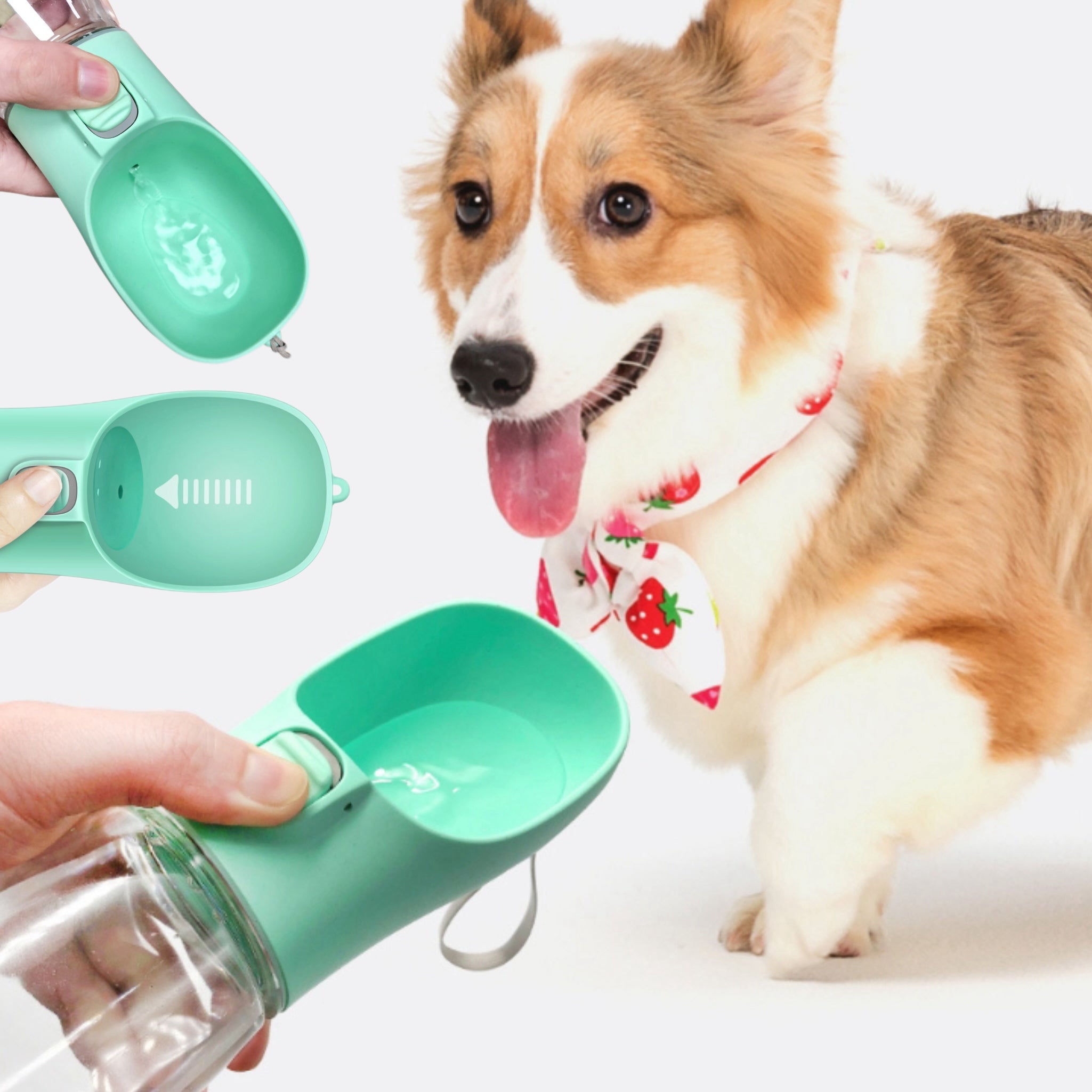 Portable Pet Travel Water Bottle for Dogs and Cats