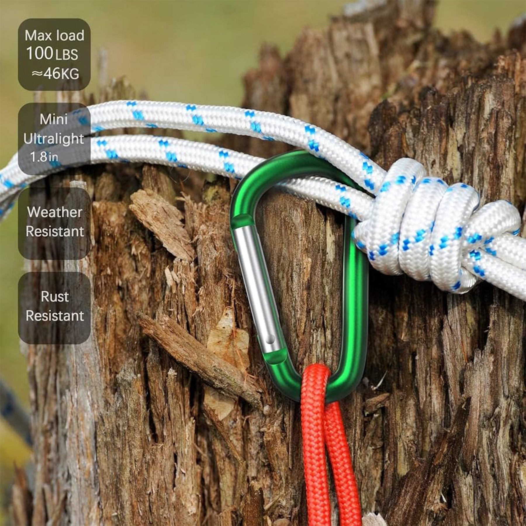 Carabiner