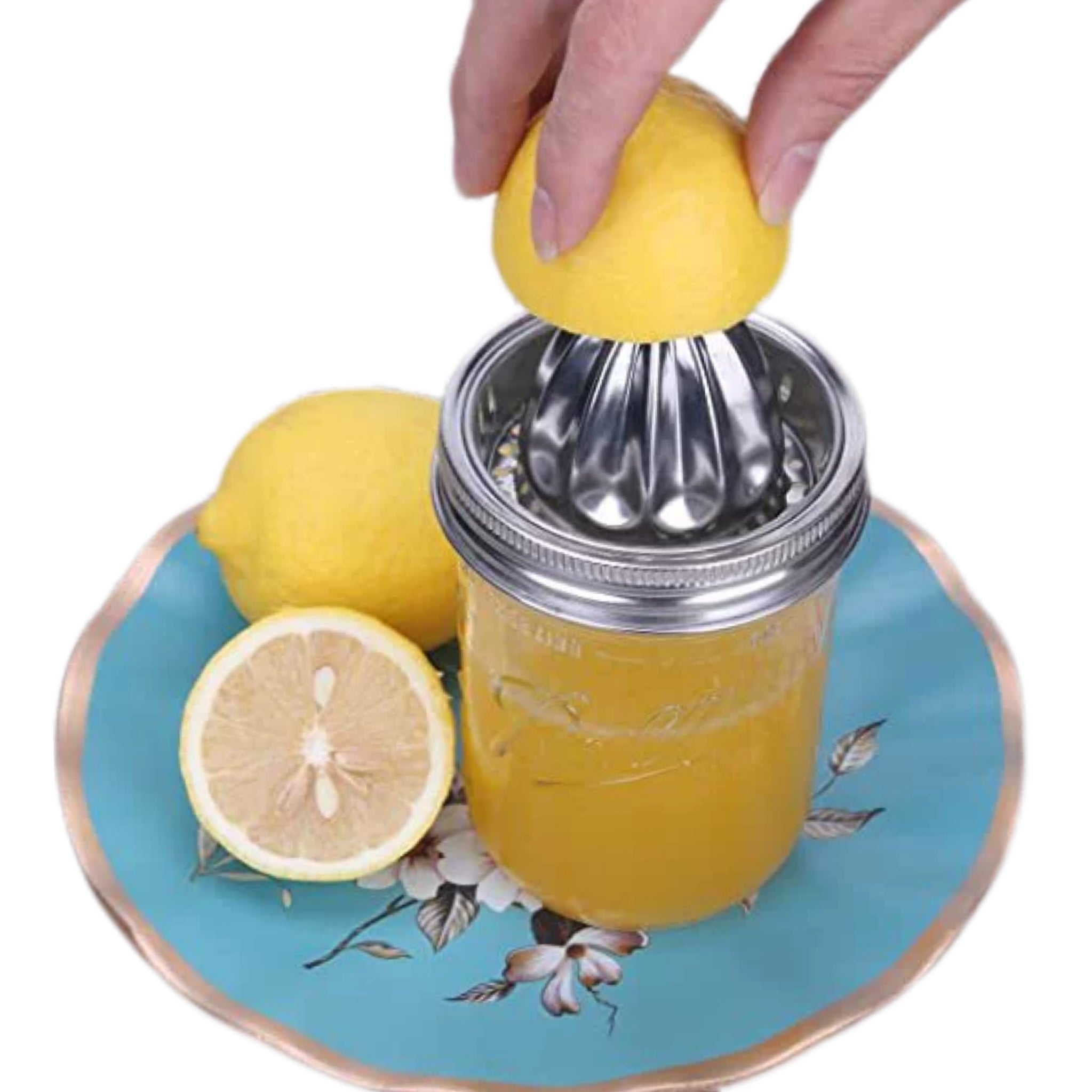 Squeeze & Store Juicer Kit