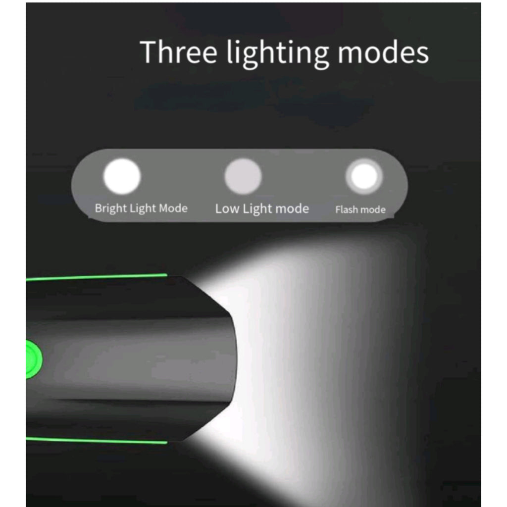 Bicycle Light With Integrated Safety Horn