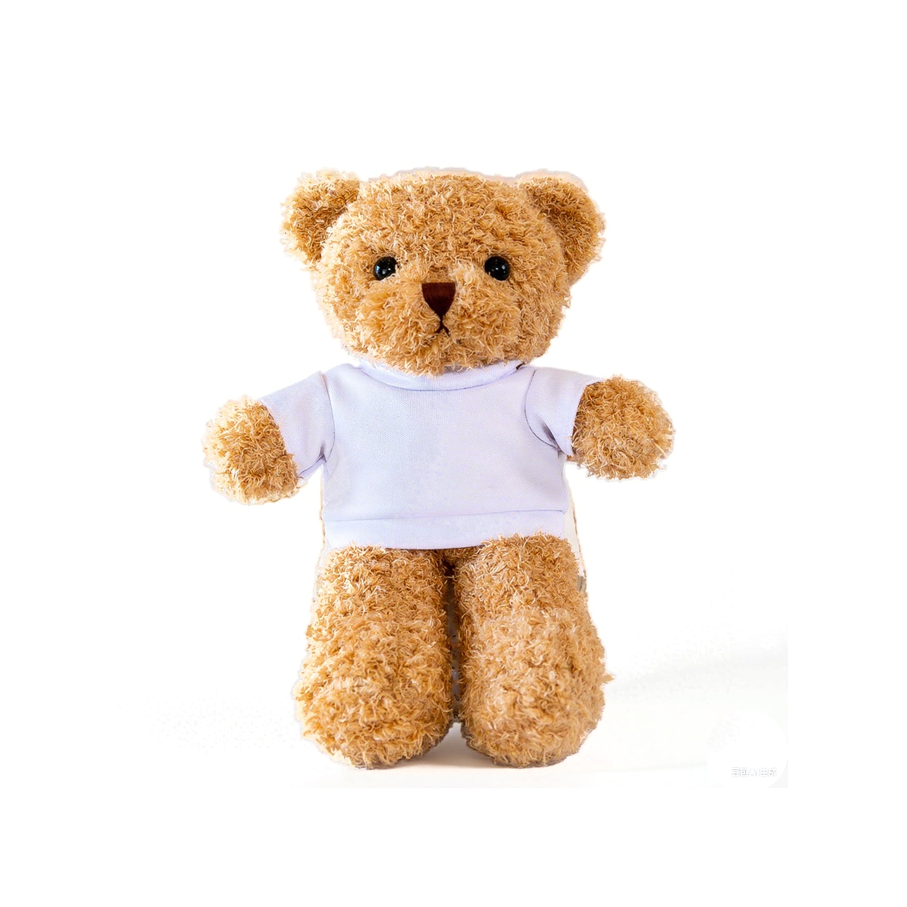 Plush Teddy Bear