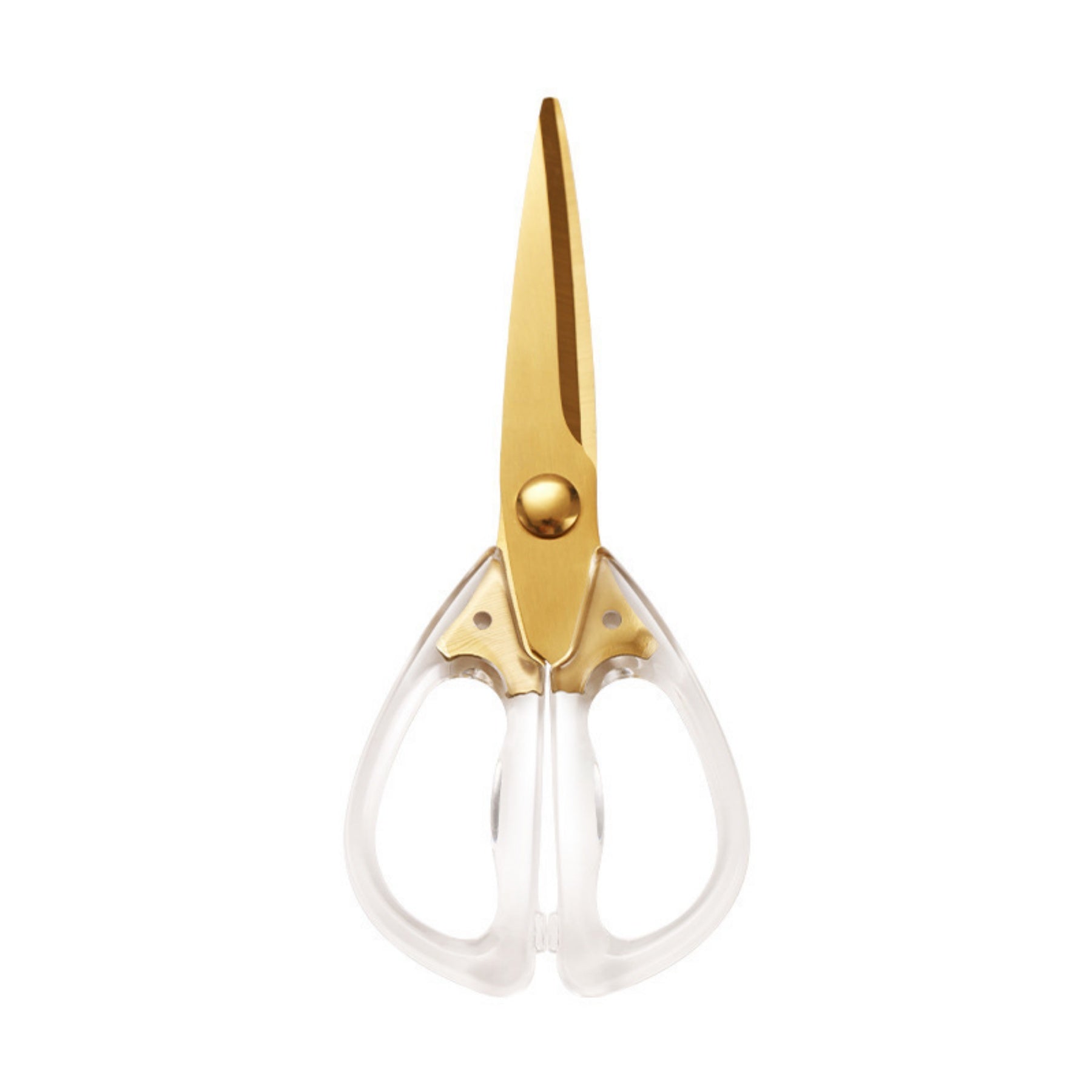 Multifunctional Acrylic Scissors