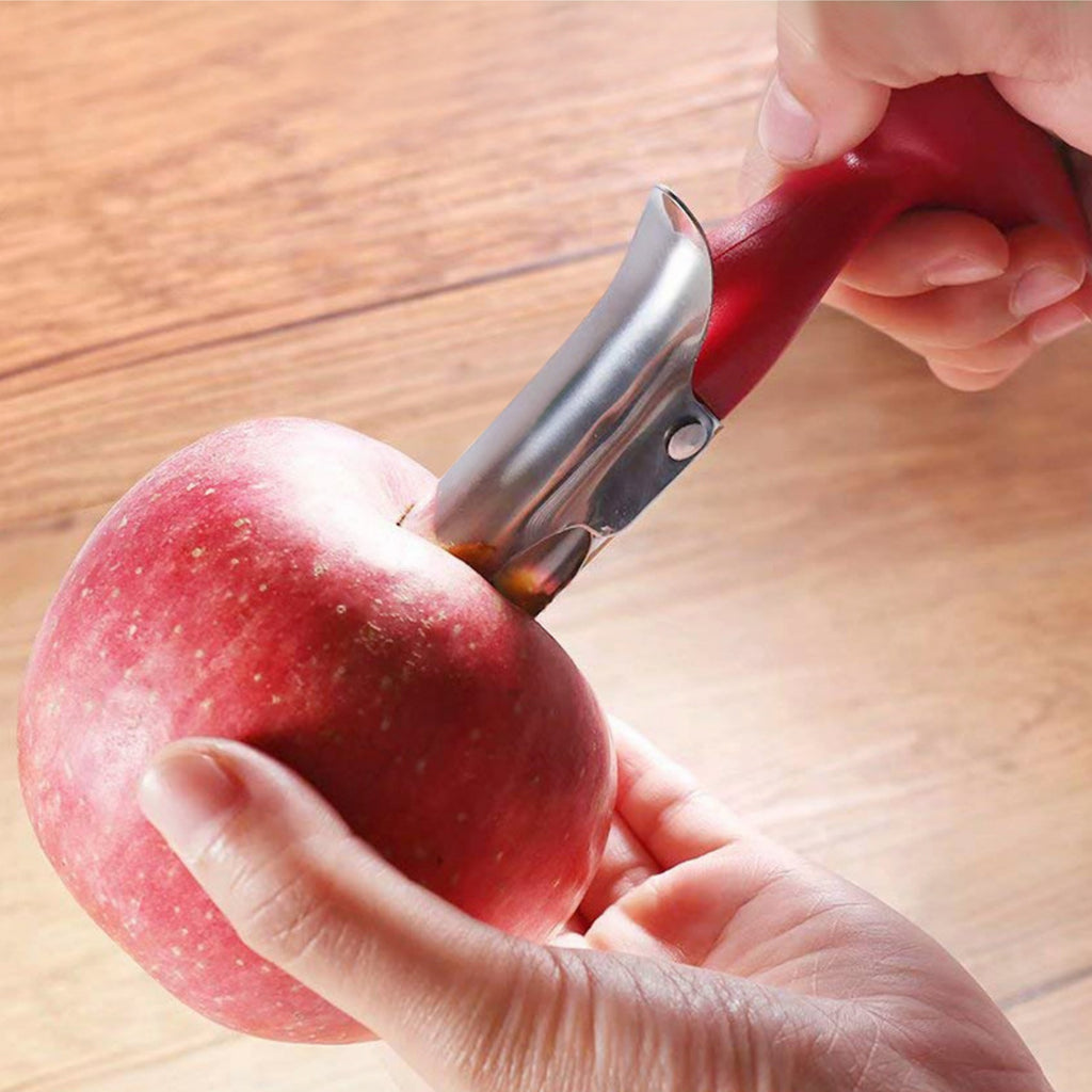 Stainless Steel Fruit Pitter