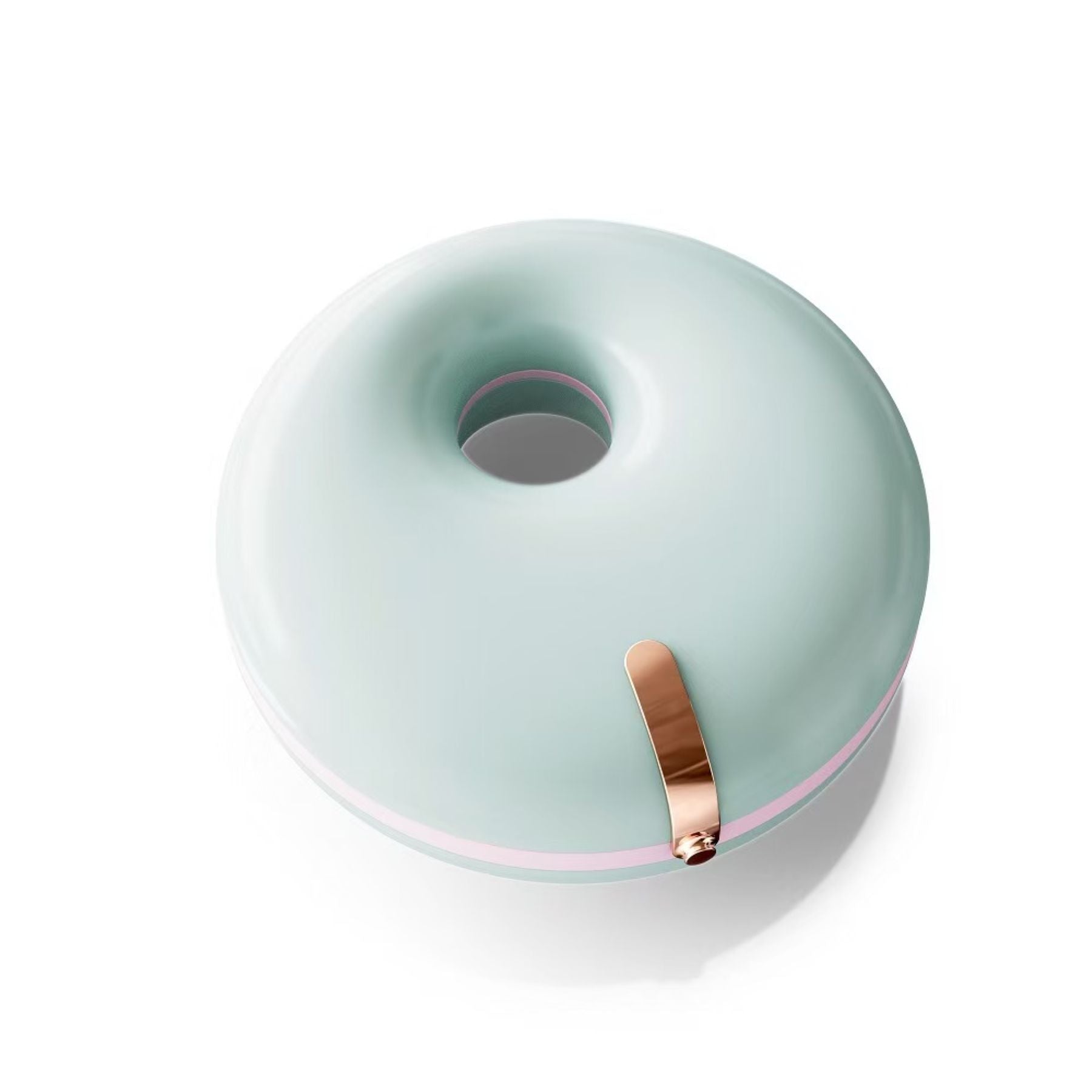 Portable Dental Brace Storage Box