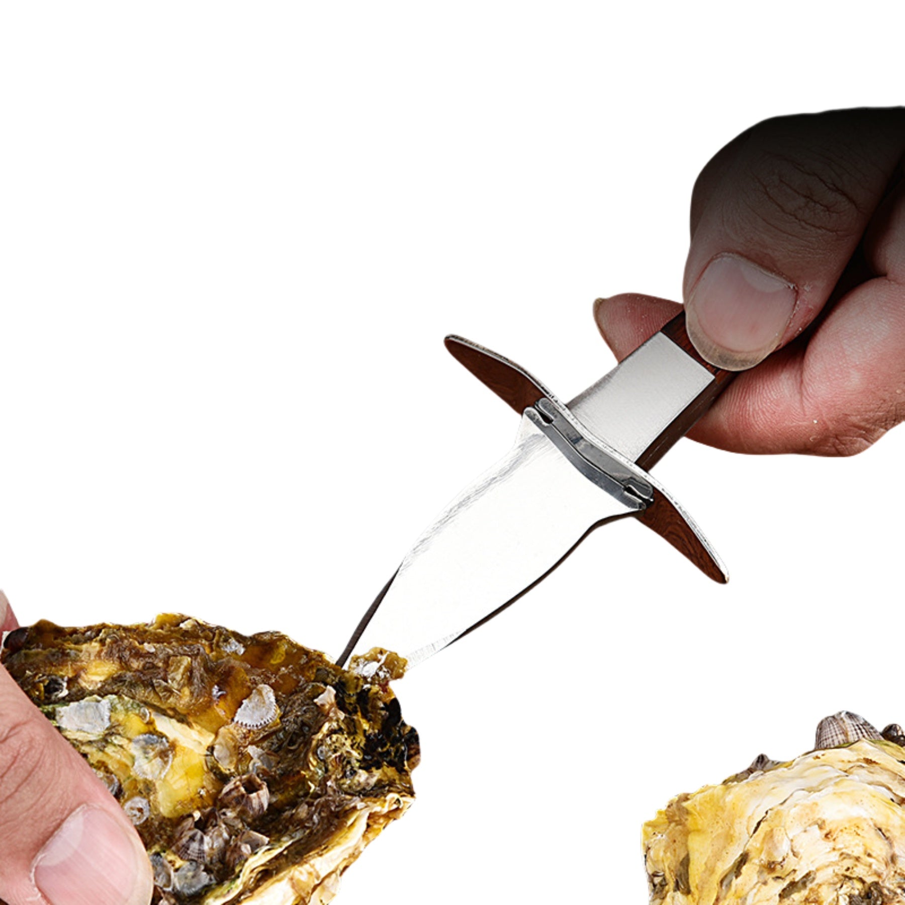 Heavy-Duty Cut-Proof Stainless Steel Oyster Knife