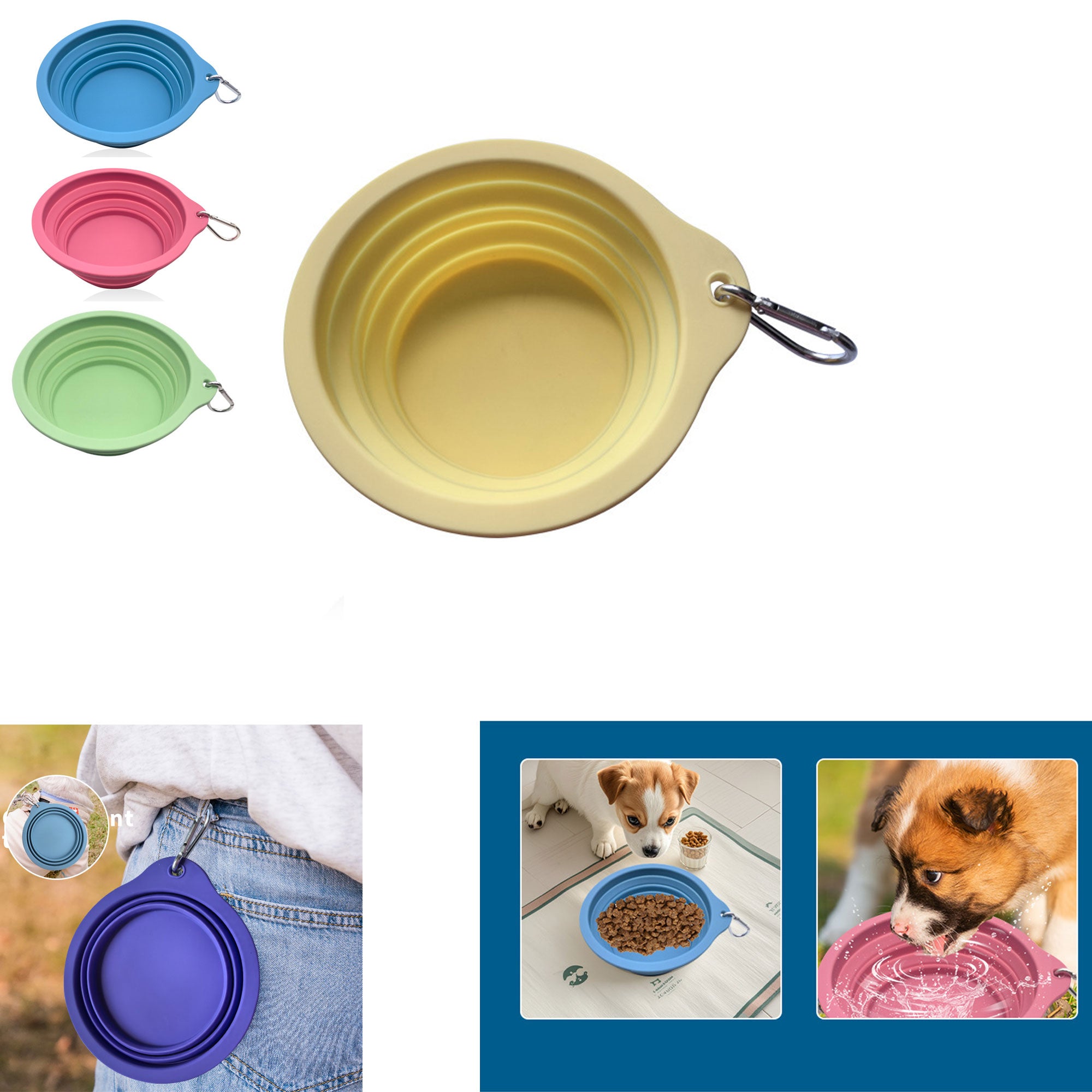 Collapsible Dog Bowl